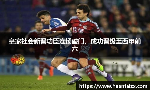 mk体育