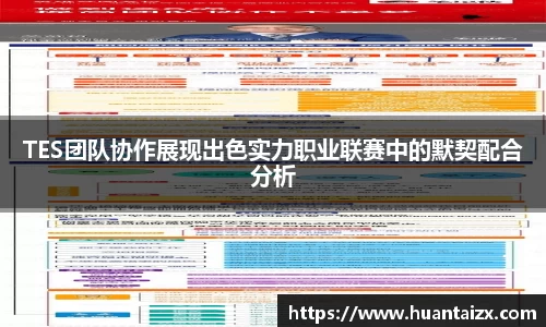 TES团队协作展现出色实力职业联赛中的默契配合分析