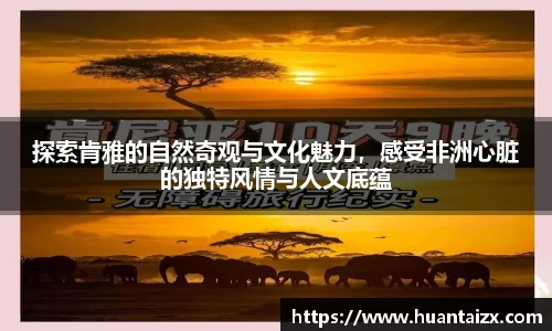mk体育平台