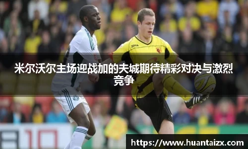 mk体育官网